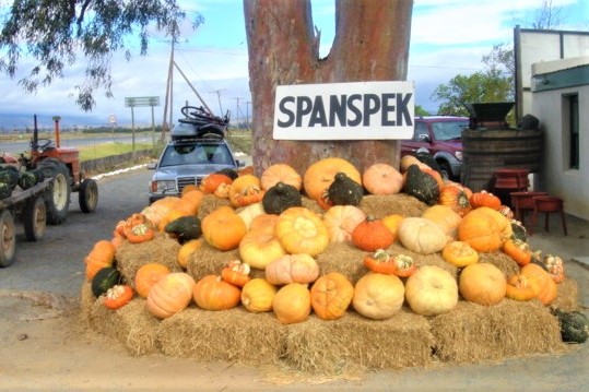 Garden Route (1)