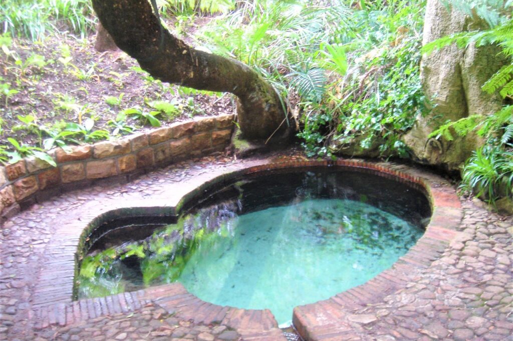 IMG-20251017-WA0148